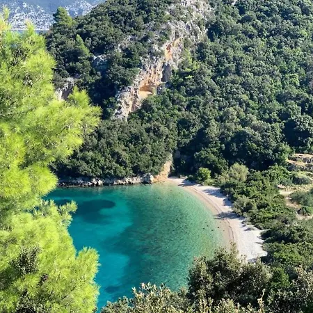 Vineyard House & Olive Grove House Дом отдыха