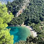 Vineyard House & Olive Grove House Tatil Evi
