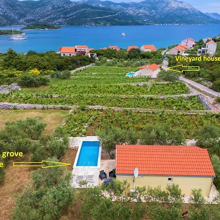 Vineyard House & Olive Grove House * Račišće