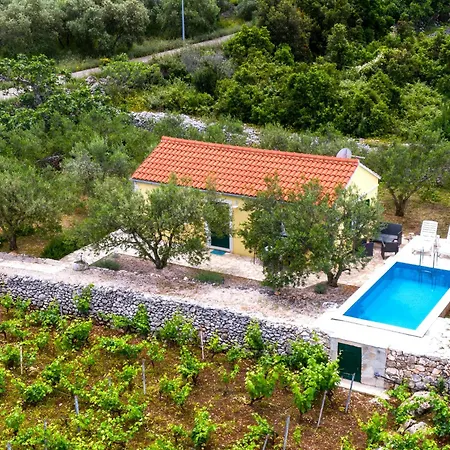 Vineyard House & Olive Grove House Tatil Evi Račišće
