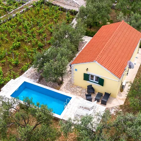 Vineyard House & Olive Grove House Tatil Evi