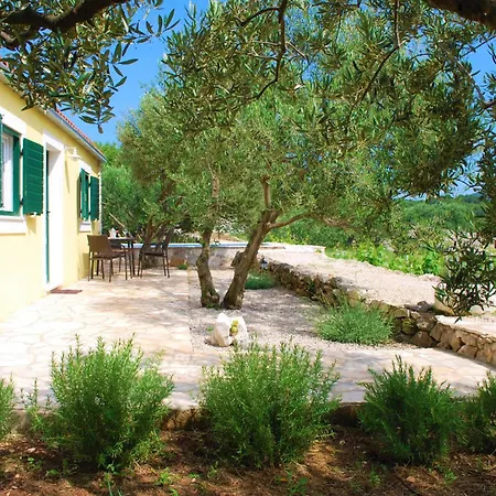 Ferienhaus Vineyard House & Olive Grove House *
