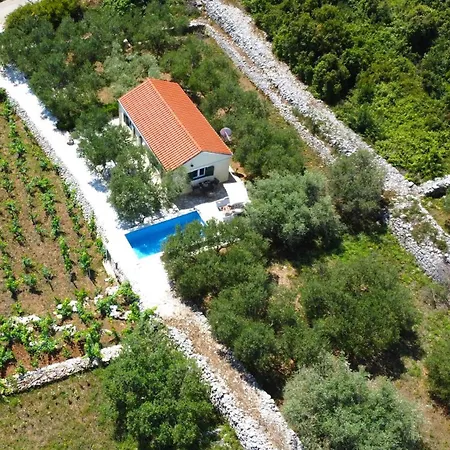 Vineyard House & Olive Grove House *