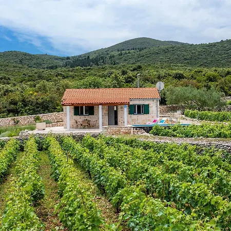 Vineyard House & Olive Grove House בית נופש Račišće