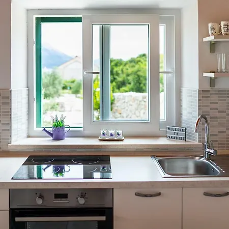 Vineyard House & Olive Grove House * Račišće