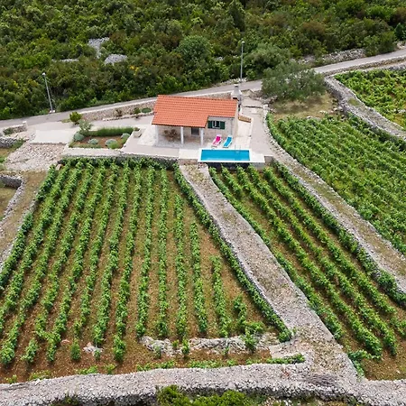 Сasa de vacaciones Vineyard House & Olive Grove House