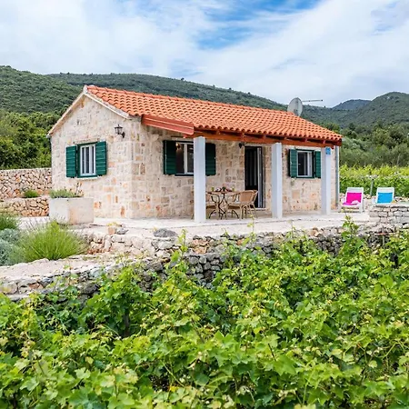בית נופש Vineyard House & Olive Grove House