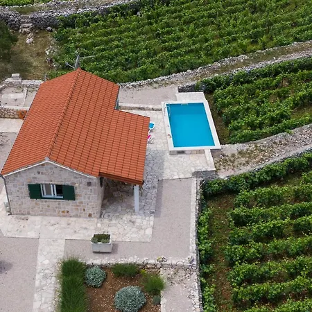 Ferienhaus Vineyard House & Olive Grove House *