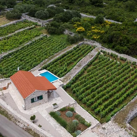 Сasa de vacaciones Vineyard House & Olive Grove House