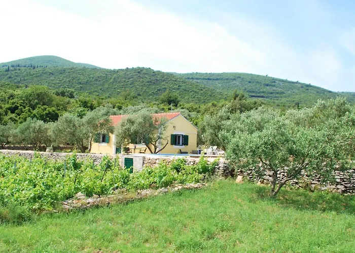 Vineyard House & Olive Grove House * Račišće