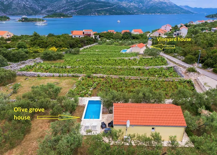 Vineyard House & Olive Grove House * Račišće
