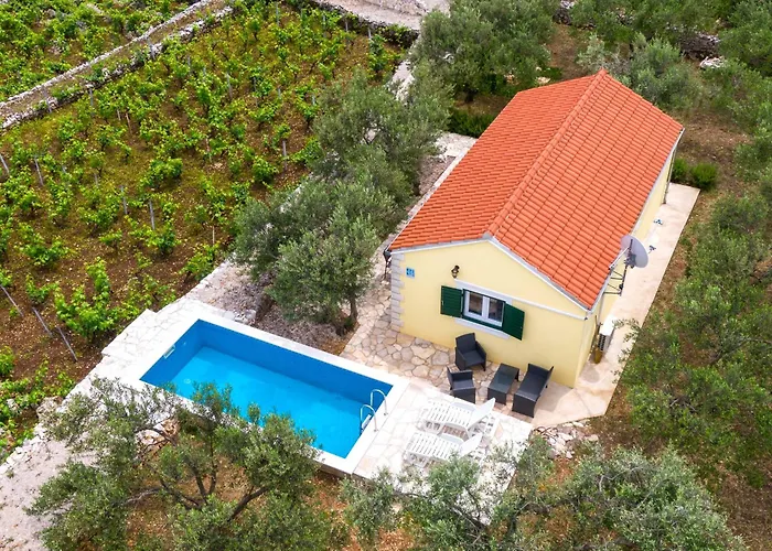 Vineyard House & Olive Grove House Hébergement de vacances