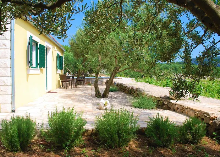 Hébergement de vacances Vineyard House & Olive Grove House *