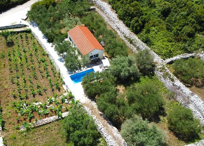 Vineyard House & Olive Grove House *