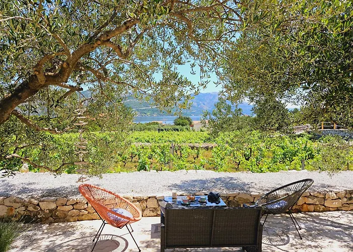 Hébergement de vacances Vineyard House & Olive Grove House