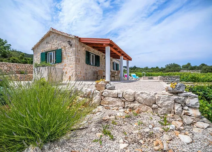 Vineyard House & Olive Grove House