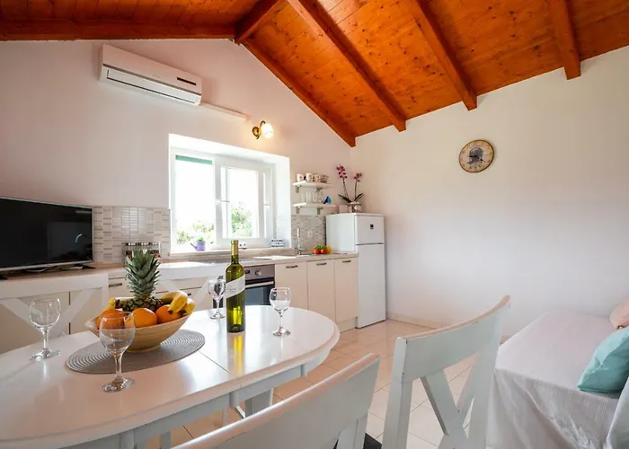 Vineyard House & Olive Grove House * Račišće