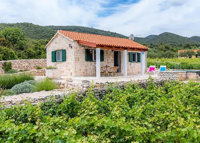 Hébergement de vacances Vineyard House & Olive Grove House