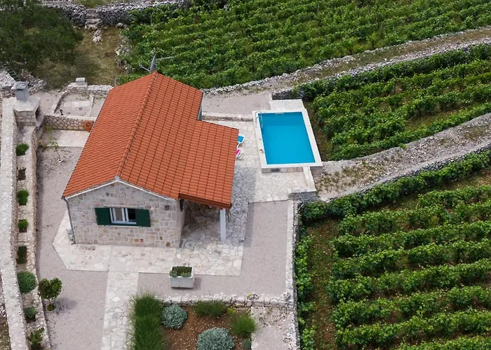 Hébergement de vacances Vineyard House & Olive Grove House *