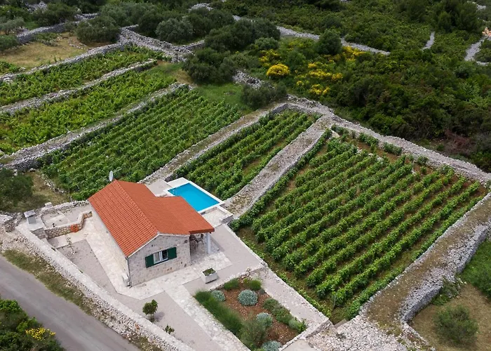 Hébergement de vacances Vineyard House & Olive Grove House